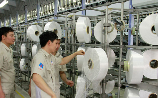 Hai bài học kinh nghiệm nhìn từ Dự án xơ sợi Đình Vũ