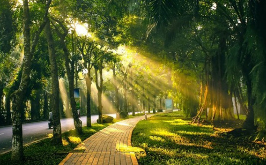 Thời tiết hôm nay ngày 31/10/2023: Hà Nội ngày nắng, Đà Nẵng tiếp tục mưa to, TP. Hồ Chí Minh vẫn mưa về chiều tối