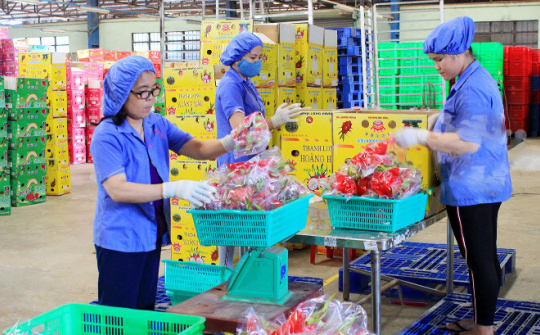 Việt Nam - Vương quốc Anh chú trọng thực thi UKVFTA