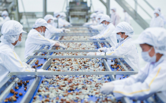 PMI ngành sản xuất lại quay đầu về dưới 50 điểm dù đơn đặt hàng vẫn tăng