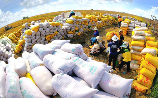 Gạo Trung An (TAR) và Chủ tịch HĐQT bị cảnh cáo, xử phạt khi đưa thông tin sai lệch