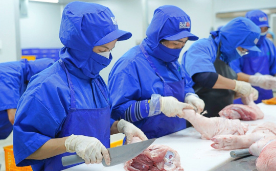 BaF Việt Nam (BAF): Mở công ty chế biến thịt mới, muốn chào bán 68 triệu cổ phiếu trong quý 4