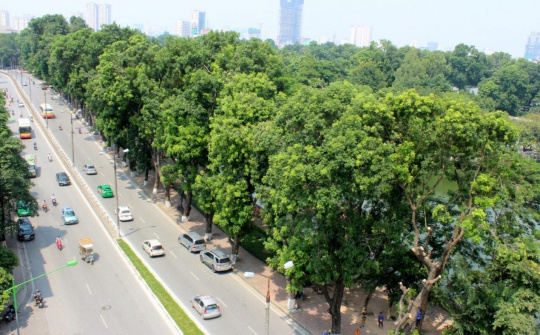 Thực trạng pháp luật Việt Nam trong việc áp dụng hàng rào phi thuế quan liên quan đến bảo vệ môi trường và sức khỏe con người trong thương mại quốc tế