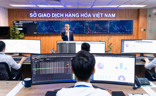 Sôi động cuộc đua Top 5 thị phần môi giới Sở Giao dịch Hàng hoá Việt Nam (MXV)