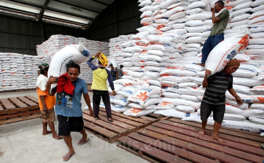 Indonesia cần thêm 1,5 triệu tấn gạo dự trữ quốc gia trong năm 2023