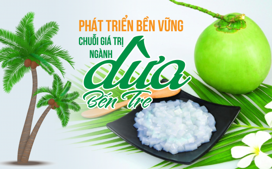 Phát triển bền vững chuỗi giá trị ngành dừa Bến Tre