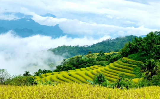 Khuổi My vào mùa lúa chín – Hoàng Su Phì thứ hai của Hà Giang