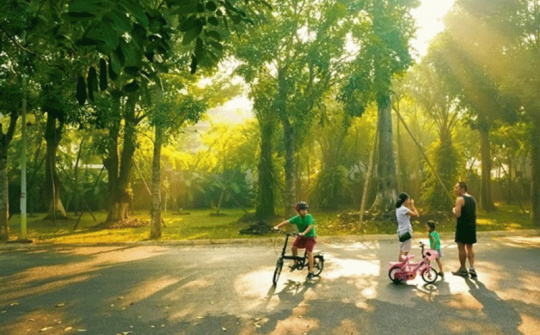 Thời tiết hôm nay ngày 11/11/2023: Hà Nội và Đà Nẵng nắng nhẹ, Thành phố Hồ Chí Minh trời nắng, chiều tối có mưa vài nơi