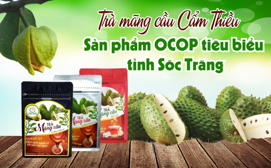 Trà mãng cầu Cẩm Thiều – sản phẩm OCOP tiêu biểu tỉnh Sóc Trăng