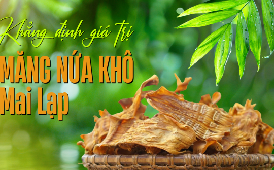 Khẳng định giá trị măng nứa khô Mai Lạp