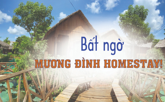 Bất ngờ Mương Đình homestay!