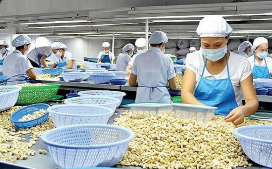 Xuất khẩu hạt điều ghi nhận mức cao kỷ lục mới