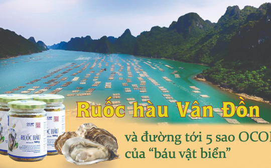 Ruốc hàu Bavabi và đường tới 5 sao OCOP của "báu vật biển"