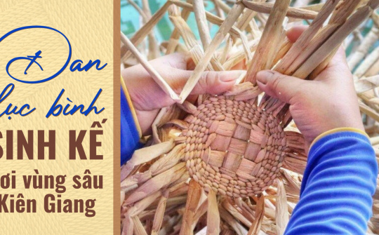 Đan lục bình - Mô hình sinh kế nơi vùng sâu Kiên Giang