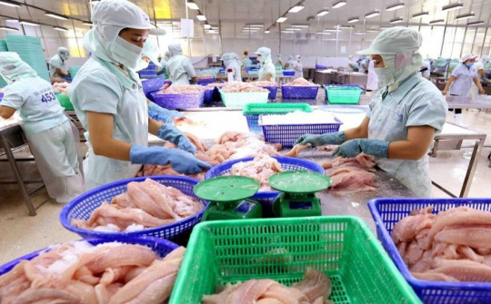 An Giang: Xây dựng các cụm liên kết công nghiệp chế biến nông sản, thực phẩm