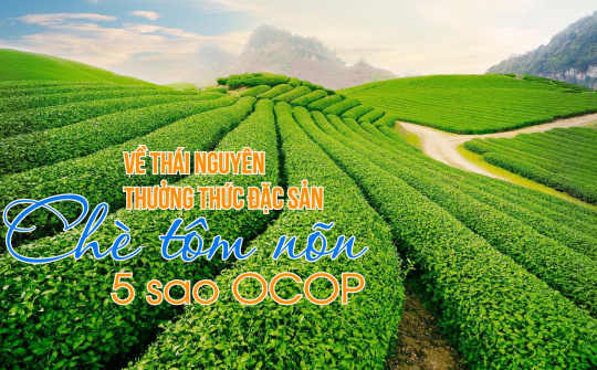 Về Thái Nguyên thưởng thức đặc sản chè tôm nõn 5 sao OCOP