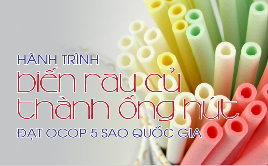 Hành trình biến rau củ thành ống hút đạt OCOP 5 sao Quốc gia