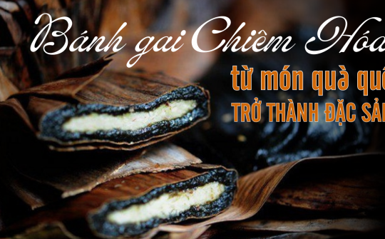 Bánh gai Chiêm Hóa - Từ món quà quê trở thành đặc sản