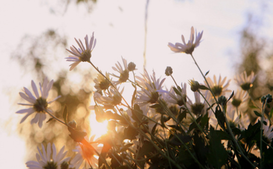 Thời tiết hôm nay ngày 04/11/2023: Hà Nội và Đà Nẵng trưa chiều hửng nắng, Thành phố Hồ Chí Minh chiều tối có lúc có mưa