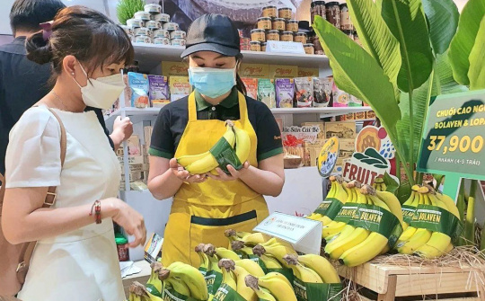 Hoàng Anh Gia Lai (HAG): Doanh thu từ chuối sẽ tăng mạnh trong quý 4