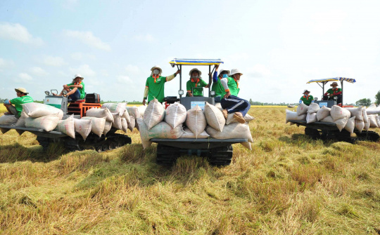 Hỗ trợ đưa gạo Việt Nam thâm nhập sâu vào thị trường Trung Quốc
