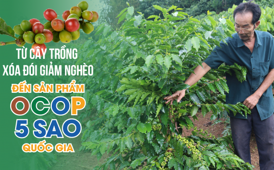 Cà phê Sơn La: Từ cây trồng xoá đói giảm nghèo đến sản phẩm OCOP 5 sao quốc gia