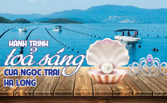 Hành trình toả sáng của Ngọc trai Hạ Long
