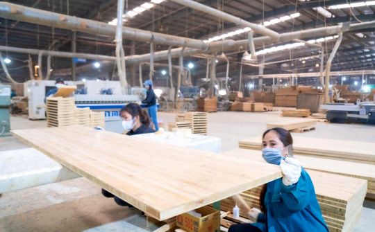 Cổ phiếu SJF của “ông lớn” tre công nghiệp Sao Thái Dương bị đình chỉ giao dịch