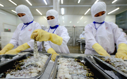 Tôm Việt Nam tiếp tục bị Hoa Kỳ cáo buộc nhận trợ cấp