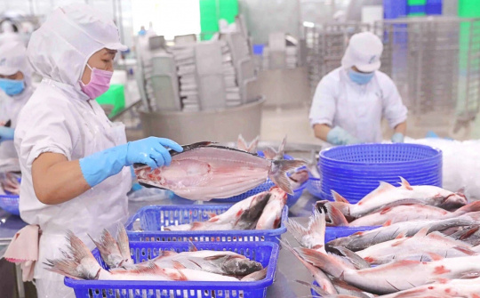 Ủy ban Chứng khoán không chấp nhận lý do chậm nộp BCTC của Thuỷ sản Vĩnh Hoàn (VHC)