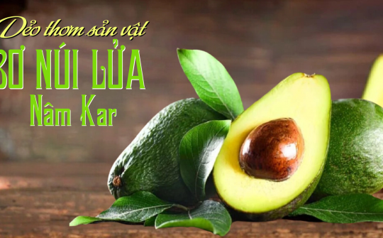 Dẻo thơm sản vật bơ núi lửa Nâm Kar