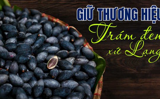 Giữ thương hiệu Trám đen xứ Lạng