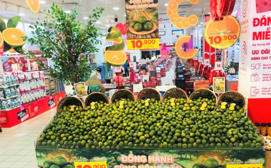 Central Retail cam kết tiêu thụ hàng chục tấn cam sành Vĩnh Long