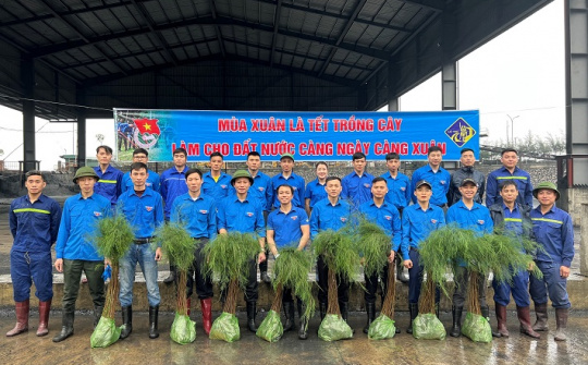 Tuổi trẻ Than Thống Nhất hưởng ứng Tết trồng cây “Đời đời nhớ ơn Bác Hồ”