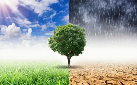 Tác động của biến đổi khí hậu đến nguồn vốn sinh kế của hộ dân ven biển tỉnh Kiên Giang