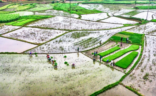 EVN hoàn thành cấp nước phục vụ sản xuất nông nghiệp vụ Đông Xuân 2023