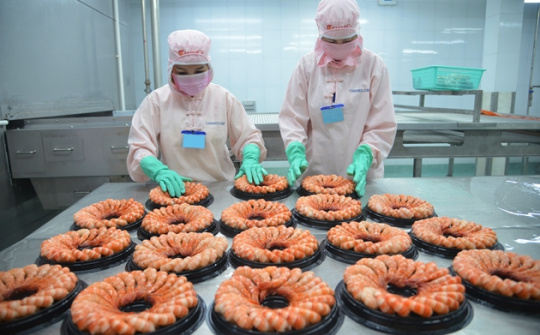 Tháng đầu năm, xuất khẩu tôm đạt 141 triệu USD