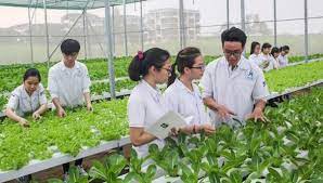 Thực trạng và giải pháp đào tạo nghề cho lao động nông nghiệp, nông thôn Việt Nam hiện nay