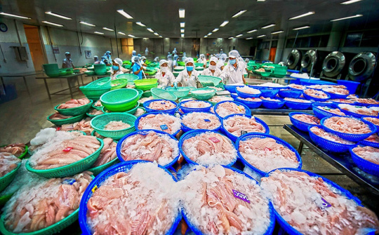 Năm 2023, xuất khẩu thủy sản sang Trung Quốc dự báo sẽ tăng chậm lại