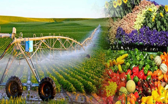 Na Uy tăng cường giám sát một số mặt hàng nhập khẩu