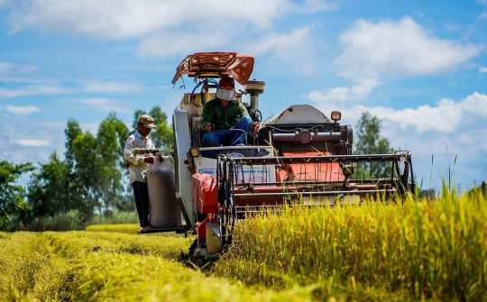 Giá lương thực thế giới giảm tháng thứ 10 liên tiếp