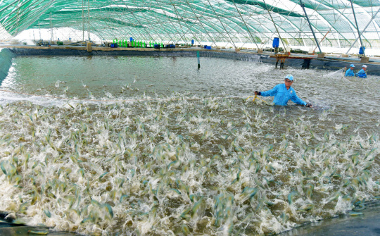 Sóc Trăng: Doanh nghiệp được giảm 30% thuế thuê đất, thuê mặt nước