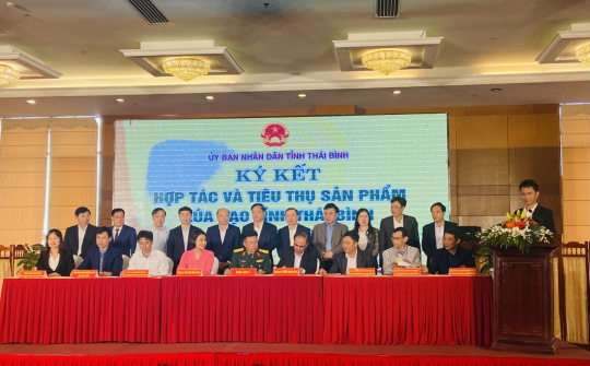 Kết nối tiêu thụ sản phẩm gạo Thái Bình trên sàn thương mại điện tử