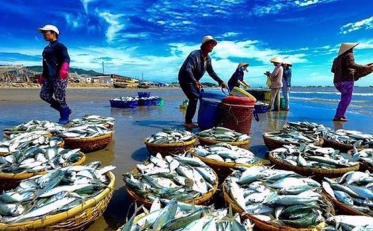 EU thay đổi mẫu Giấy chứng nhận kiểm dịch động vật dưới nước nhập khẩu