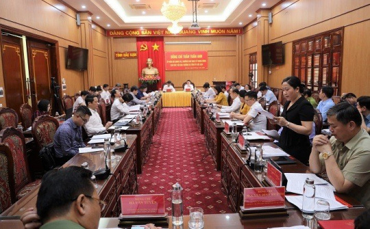 Bắc Kạn: Đẩy mạnh phát triển kinh tế lâm nghiệp