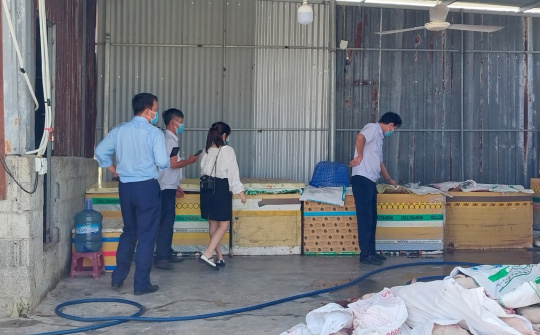 Báo động thực phẩm bẩn đang lưu hành trên thị trường