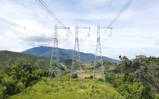 Truyền tải điện Lâm Đồng: Phát quang hơn 440.000 m2 hành lang an toàn lưới điện