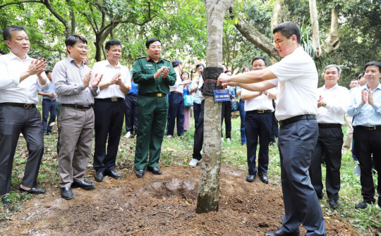 Công ty Supe Lâm Thao trồng 300 cây xanh tại Khu Di tích lịch sử K9 Đá Chông