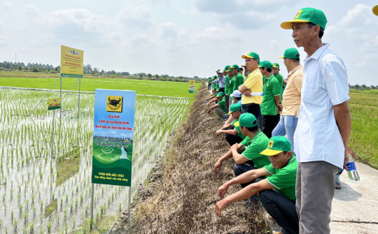 Thúc đẩy các sáng kiến sản xuất nông nghiệp thông minh, ứng phó biến đổi khí hậu