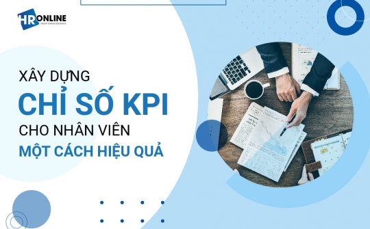 Nghiên cứu ứng dụng trả lương theo hiệu suất (KPI) đối với giảng viên trong các trường đại học Việt Nam